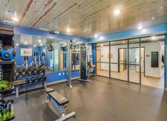 a gym with a lot of weights and equipment in it at Arbor Ridge, Forest Lake, MN