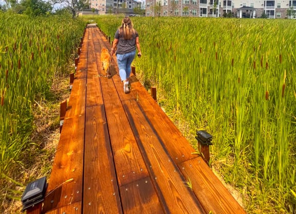 a woman walking her dog on a wooden boardwalk in a field  at Timber Ridge, Forest Lake, 55025