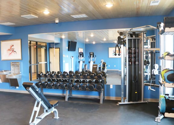 a fitness room with a rack of dumbbells and other gym equipment  at Timber Ridge, Forest Lake