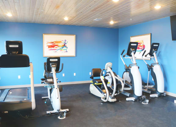a gym with cardio equipment and a painting on the wall  at Timber Ridge, Minnesota, 55025