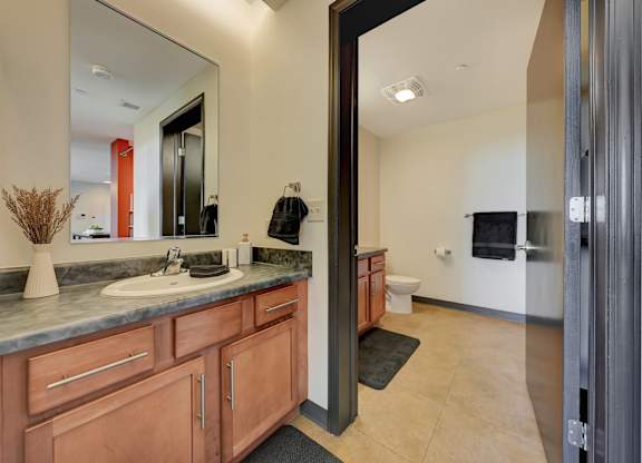 a bathroom with a sink and a mirror and a toilet at Parkhaus Apartments, Lincoln, Nebraska