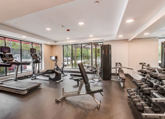 a gym with weights and cardio equipment and windows at Clarendon Hills 229, Clarendon, IL