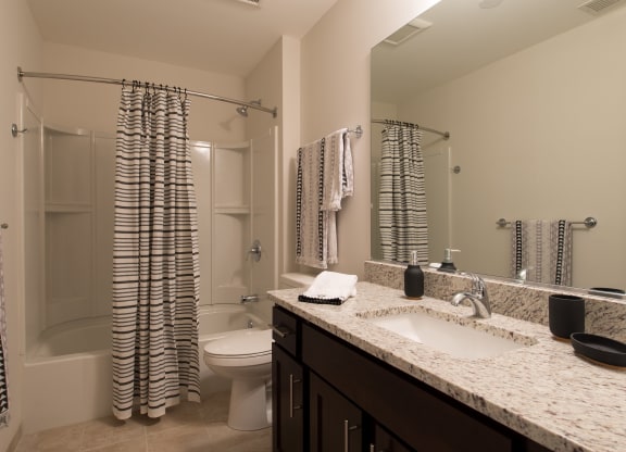 a bathroom with a sink and a toilet and a shower