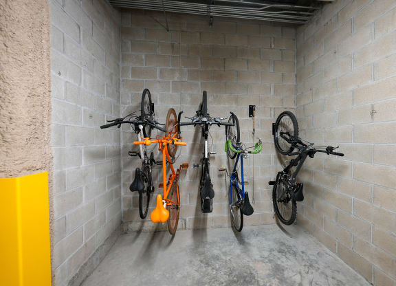 a group of bikes hanging on a wall in a storage room