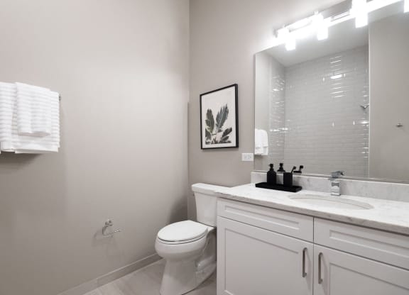 a bathroom with a toilet and a sink and a mirror