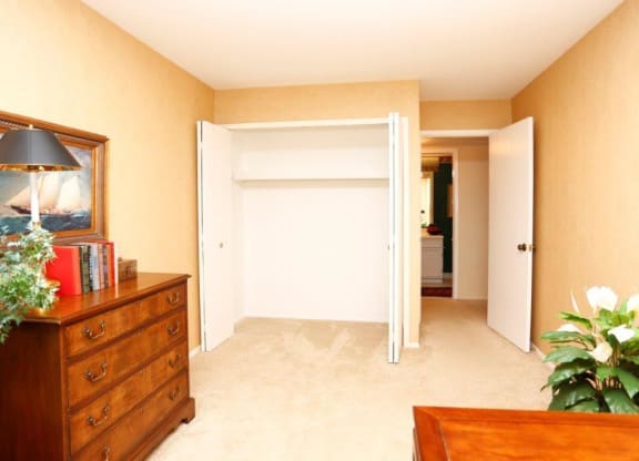a bedroom with a dresser and a closet