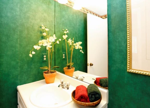 a bathroom with a sink and a mirror and a potted plant