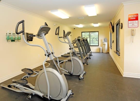 a gym with a row of exercise bikes