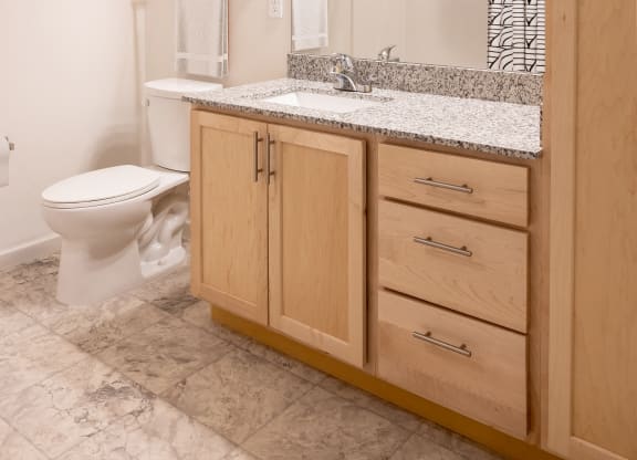 a bathroom with a toilet and a sink and a mirror
