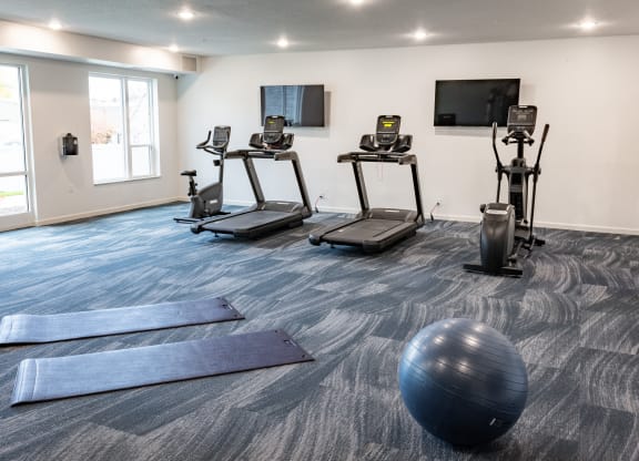 a fitness room with exercise balls and yoga mats and a tv