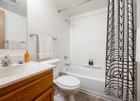 a bathroom with a sink toilet and bathtub at Ames Lake Neighborhood Apartments, St. Paul, MN