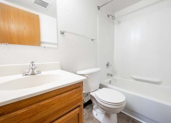 a bathroom with a sink toilet and a bath tub at Ames Lake Neighborhood Apartments, St. Paul