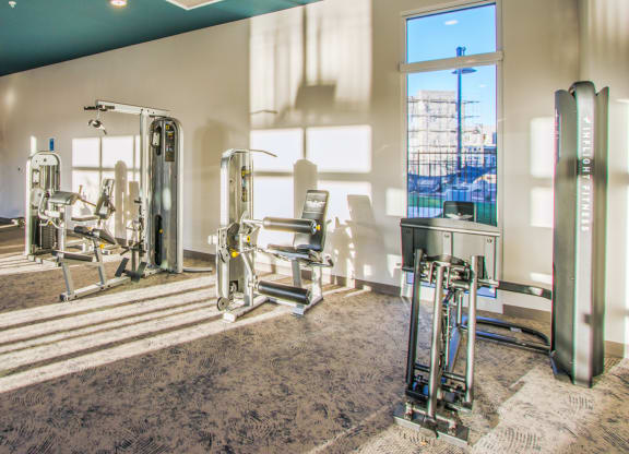 a gym with weights and cardio equipment at the district at highland village apartments