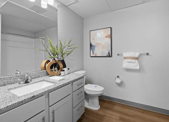 A bathroom with a toilet, sink, and a plant at Copa Flats Apartments, Maricopa, 85138