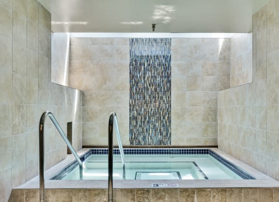 a large jacuzzi tub in a bathroom with a water feature