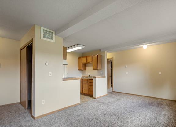 A room with a carpeted floor and a kitchenette in the background.