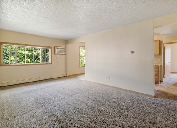 A large empty room with a carpeted floor and a window.