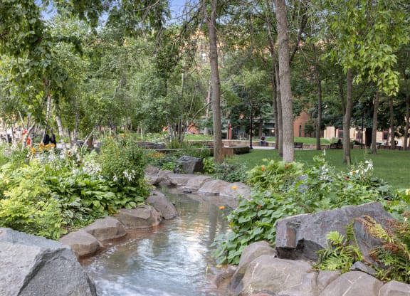 a stream flows through a park with rocks and trees