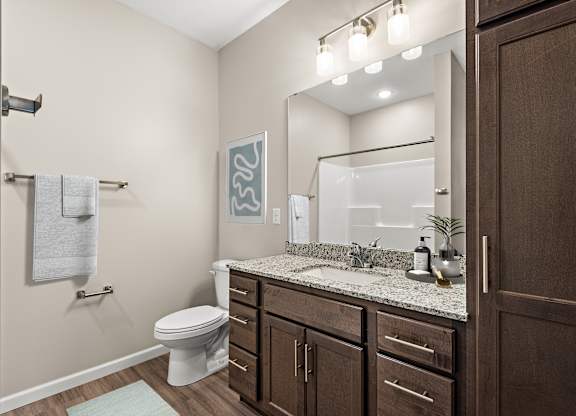 A bathroom with a toilet, sink, and mirror at Decatur Landing Apartment , Minnesota, 55445