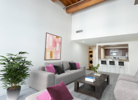 a living room with a gray couch and a coffee table