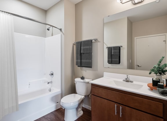 a bathroom with a shower toilet sink and mirror