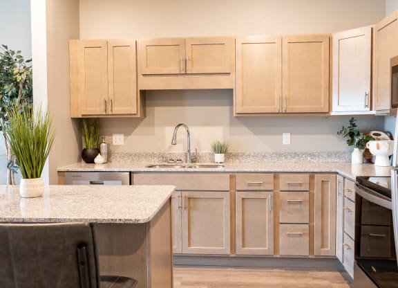a kitchen with wooden cabinets and granite counter tops at Technology Park Apartments, Rochester
