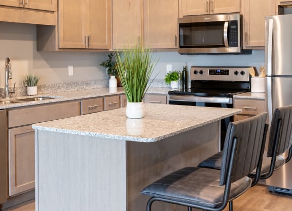 a kitchen with a large island and stainless steel appliances at Technology Park Apartments, Minnesota