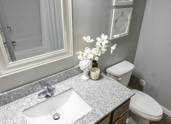 a bathroom with a sink and a toilet and a mirror at Technology Park Apartments, Rochester, 55901