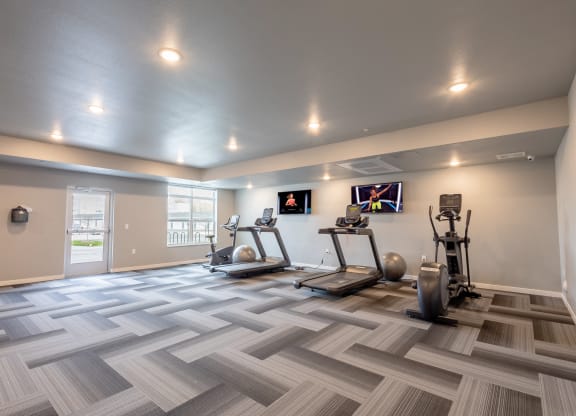 the retreat at thousand oaks fitness room with weights and cardio equipment at Technology Park Apartments, Minnesota, 55901