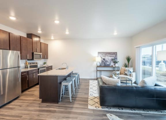 a kitchen and living room with stainless steel appliances and a large window at Technology Park Apartments, Minnesota, 55901