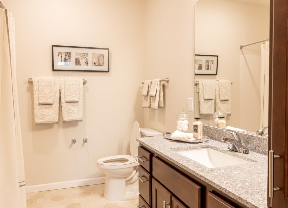 a bathroom with a sink toilet and shower and a mirror