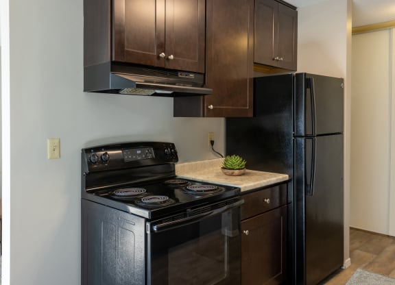 an updated kitchen with black appliances and dark wood cabinets