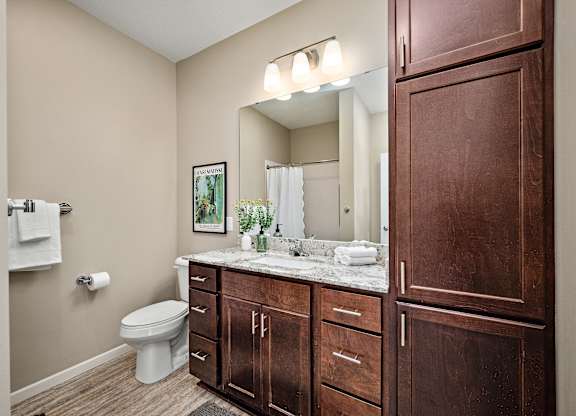 A bathroom with a toilet, sink, and mirror at The Winslow 62+ Apartments, West St Paul, Minnesota