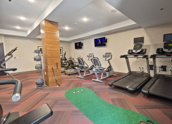 a gym with treadmills and weights and a green rug at The Winslow 62+ Apartments, Minnesota, 55118