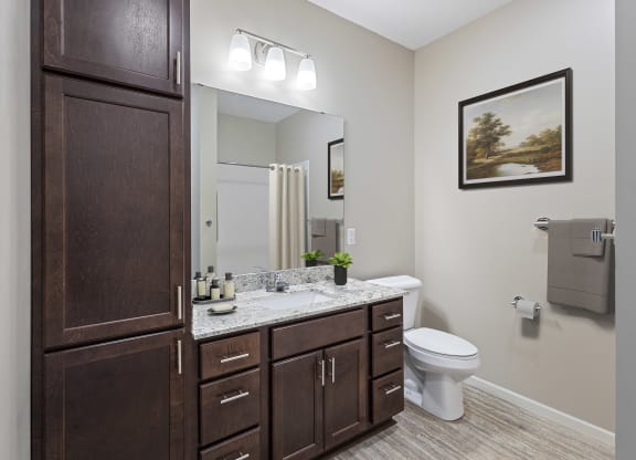 a bathroom with wooden cabinets and a toilet and a sink at The Winslow 62+ Apartments, West St Paul, 55118