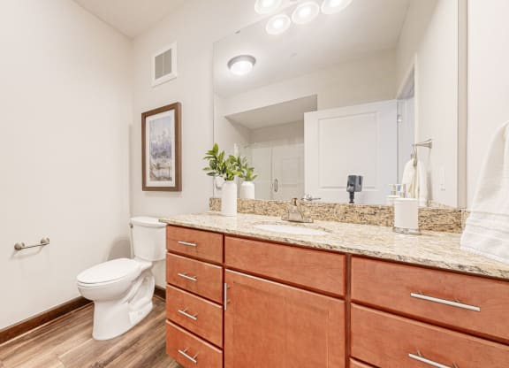 a bathroom with wooden cabinets and a toilet and a sink