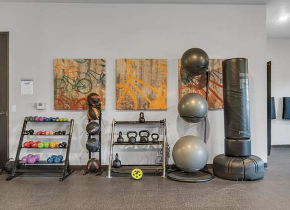 A room with a variety of exercise equipment including kettlebells, a medicine ball, and a weight rack.