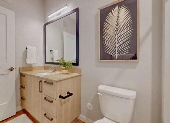 a bathroom with a toilet and a sink and a mirror
