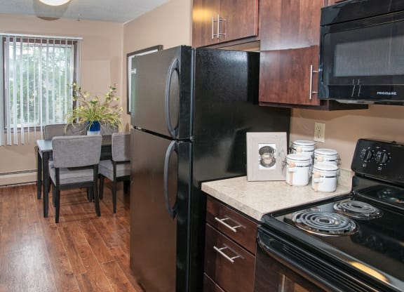 Stainless Steal Appliances and Wood Cabinetry in Kitchen in Dinkytown Apartment