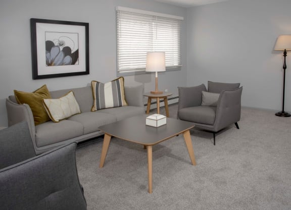 2 bedroom 1 bath living room