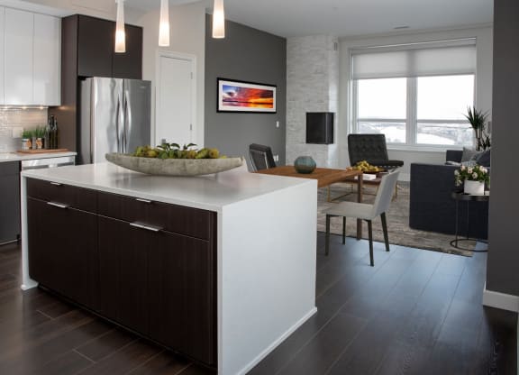 Custom House penthouse staged kitchen living in St Paul, MN