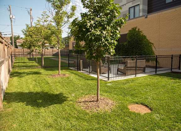 dog run