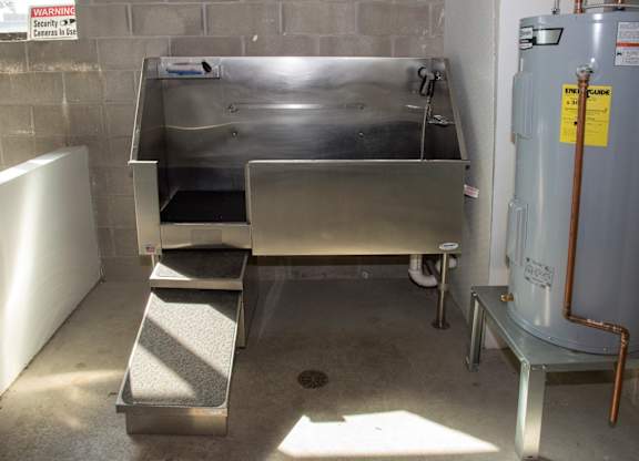 dog wash station
