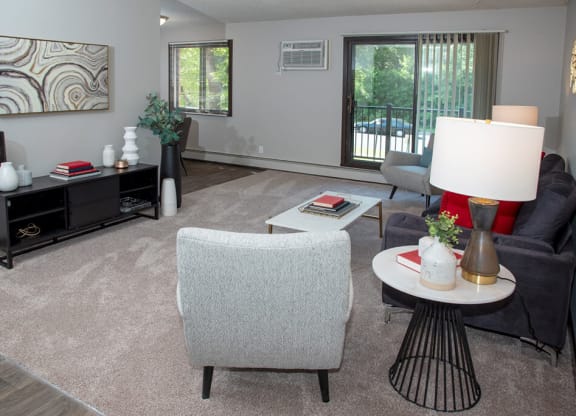 Living With Carpetingat Eagan Place Apartments, Eagan, MN