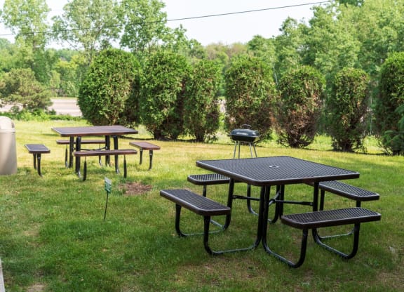 a group of picnic tables in a grassy area with trees in the background