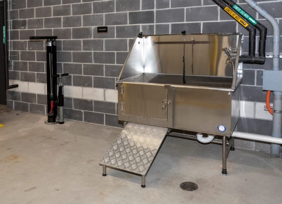 Dog Wash Station at Grove80 Apartments, Cottage Grove, MN, 55016