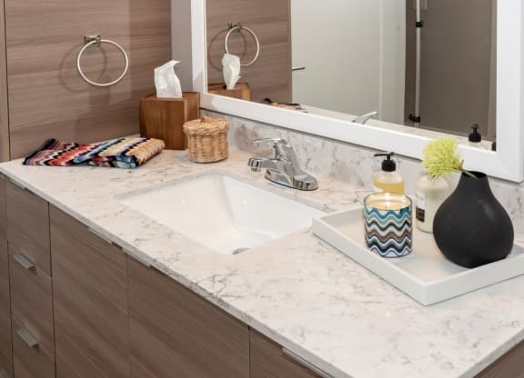 Bathroom Counter at Grove80 Apartments, Cottage Grove, 55016