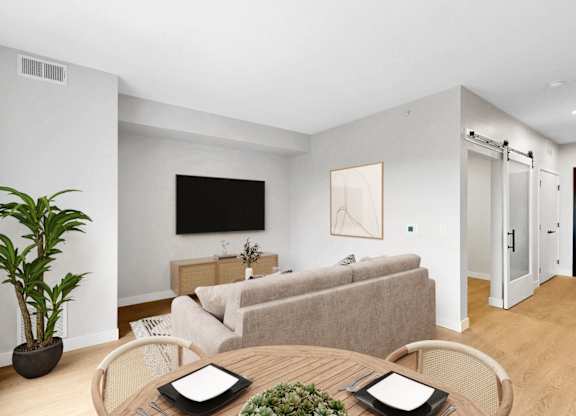 A living room with a couch, a television, and a potted plant.