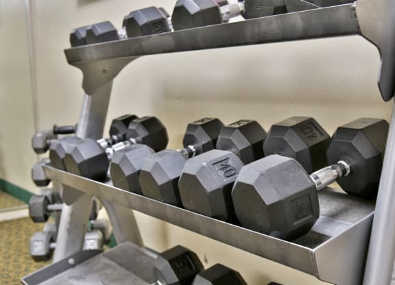 Free Weights In Gym at Hillsborough Apartments, Minnesota