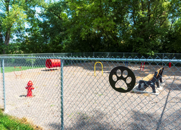a dog standing next to a fire hydrant in a park